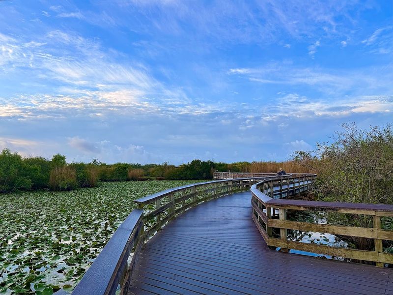 Shark Valley Observation Tower