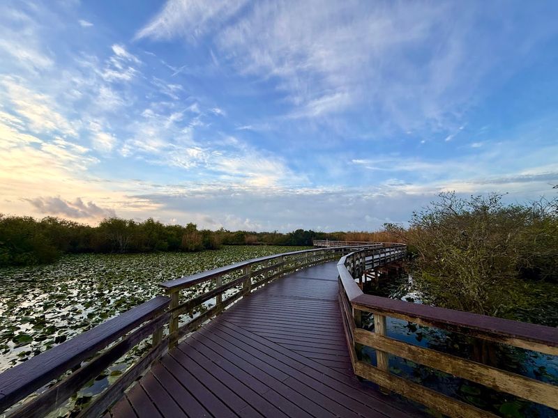 Why the Trail Feels So Peaceful