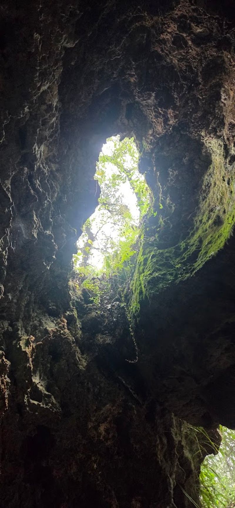 The cave openings and rock features worth noticing