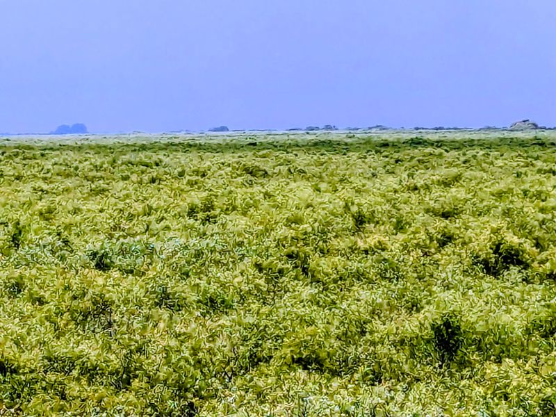 The River of Grass Experience
