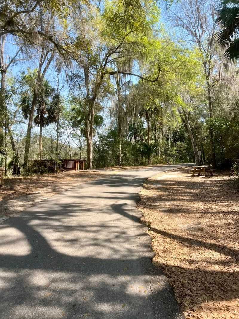 A Fitness Area Along the Trail for Those Who Want a Full Workout A Fitness Area Along the Trail for Those Who Want a Full Workout