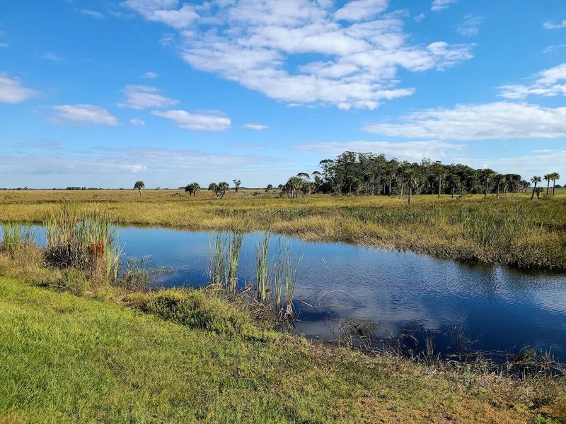 Birdwatching That Rivals Dedicated Birding Hotspots Birdwatching That Rivals Dedicated Birding Hotspots