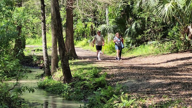 Dog-Friendly Trails That Welcome Your Four-Legged Hiking Buddy Dog-Friendly Trails That Welcome Your Four-Legged Hiking Buddy