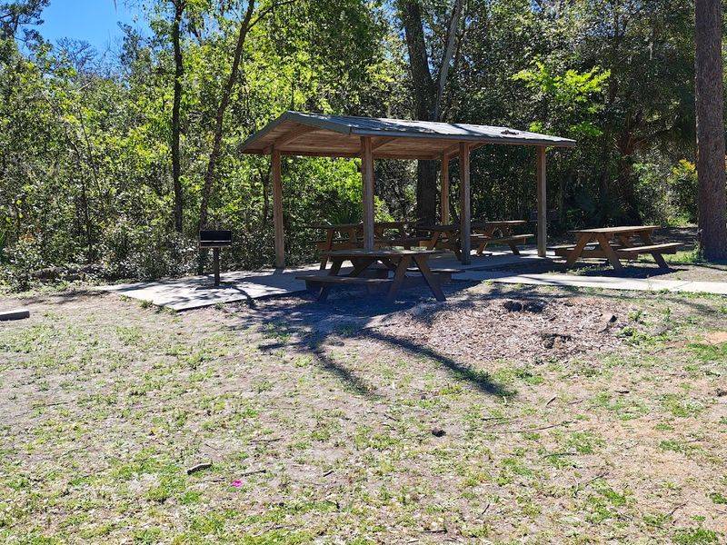 Peaceful Picnic Spots Scattered Throughout the Park for a Perfect Afternoon Peaceful Picnic Spots Scattered Throughout the Park for a Perfect Afternoon