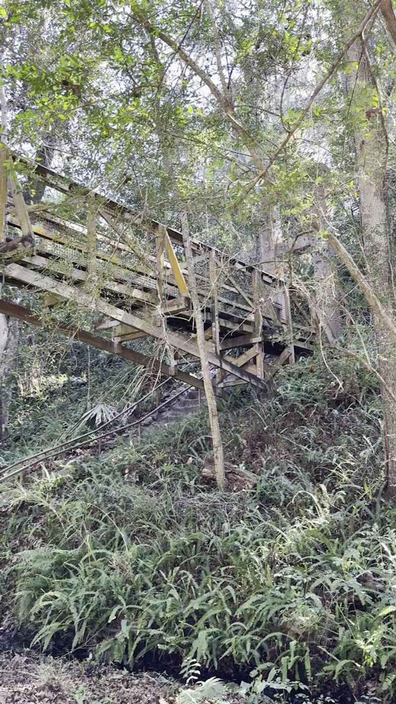 Scenic Overlook Platforms With Views That Stop You in Your Tracks Scenic Overlook Platforms With Views That Stop You in Your Tracks