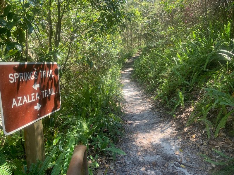Trails for Every Fitness Level From Casual Strollers to Serious Hikers Trails for Every Fitness Level From Casual Strollers to Serious Hikers