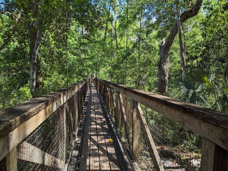 Two Swaying Suspension Bridges That Kids Absolutely Love Two Swaying Suspension Bridges That Kids Absolutely Love
