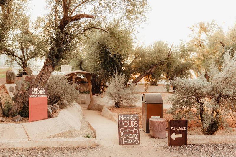 Practical Tips for Planning Your Visit to Cosanti