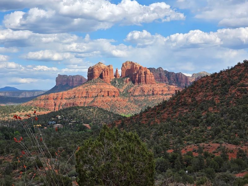 Why Arizona Safari Jeep Tours Belongs on Every Arizona Bucket List Why Arizona Safari Jeep Tours Belongs on Every Arizona Bucket List