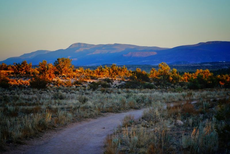 The Slower Pace of Life: What Cottonwood Actually Feels Like The Slower Pace of Life: What Cottonwood Actually Feels Like