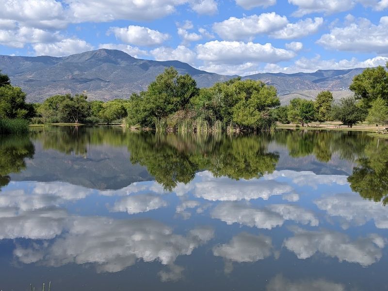 Verde River Greenway: Nature's Own Stress Reliever Verde River Greenway: Nature's Own Stress Reliever