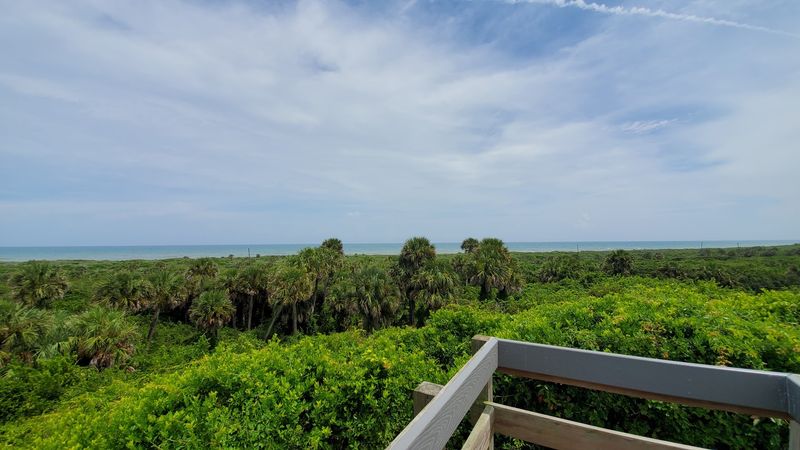 A 360-Degree View From the Top