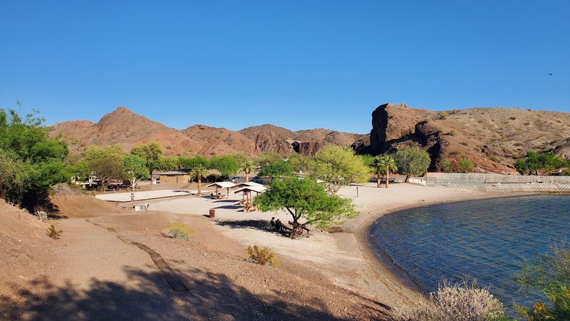 A Beach Built Just for Dogs