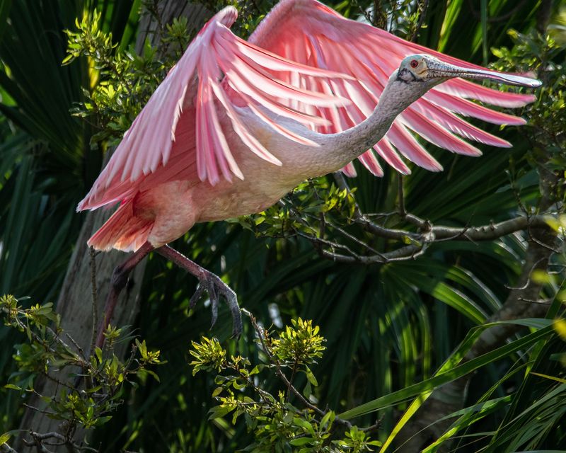 A Birding Destination Like No Other A Birding Destination Like No Other