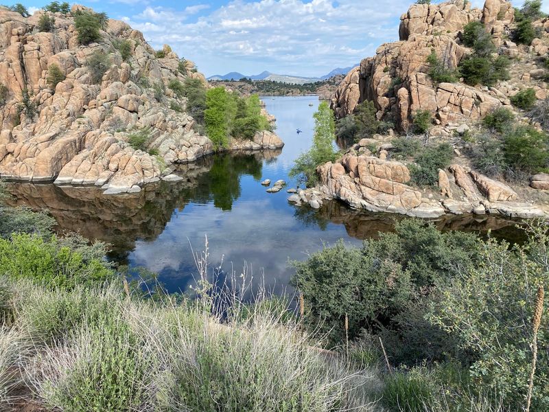 A Birdwatcher's Quiet Paradise