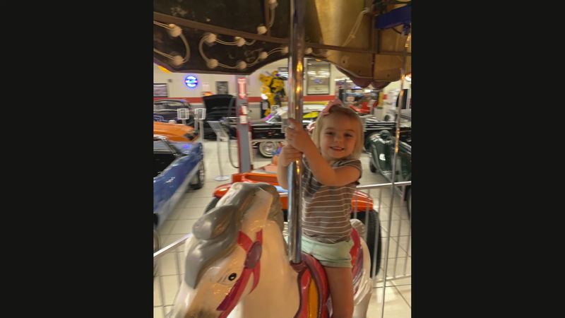 A Carousel and Cool Air for Summer A Carousel and Cool Air for Summer