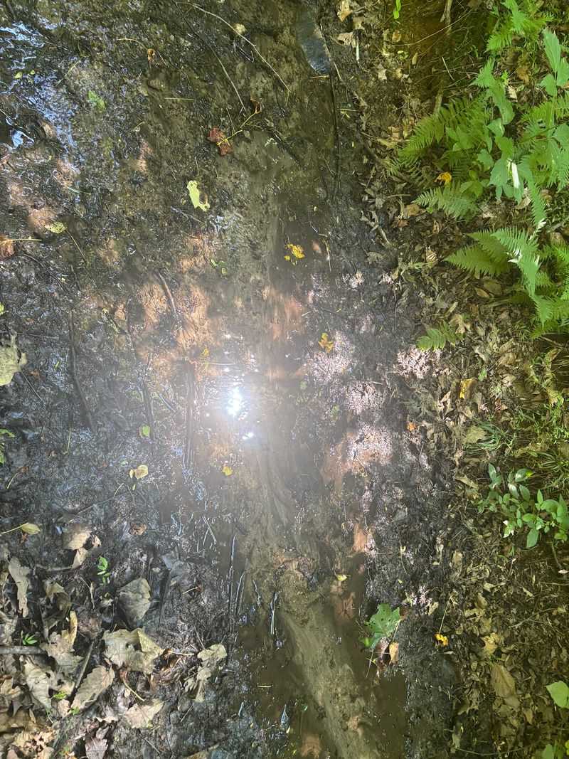 A Creek With A Glint Of History