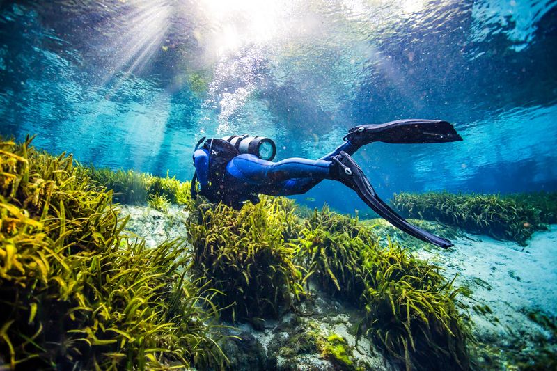 A Deep Blue Secret Inside the Ocala National Forest A Deep Blue Secret Inside the Ocala National Forest