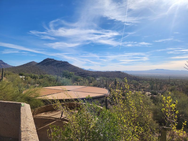 A Desert Institution Hiding West of Tucson A Desert Institution Hiding West of Tucson