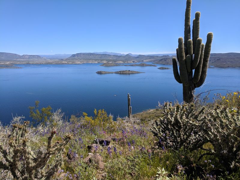 A Desert Lake Hiding North of Phoenix