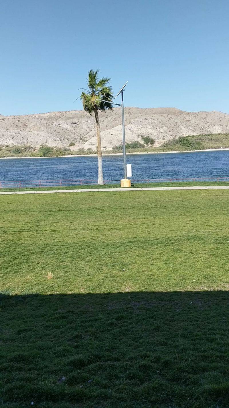 A Dog Run By The Water