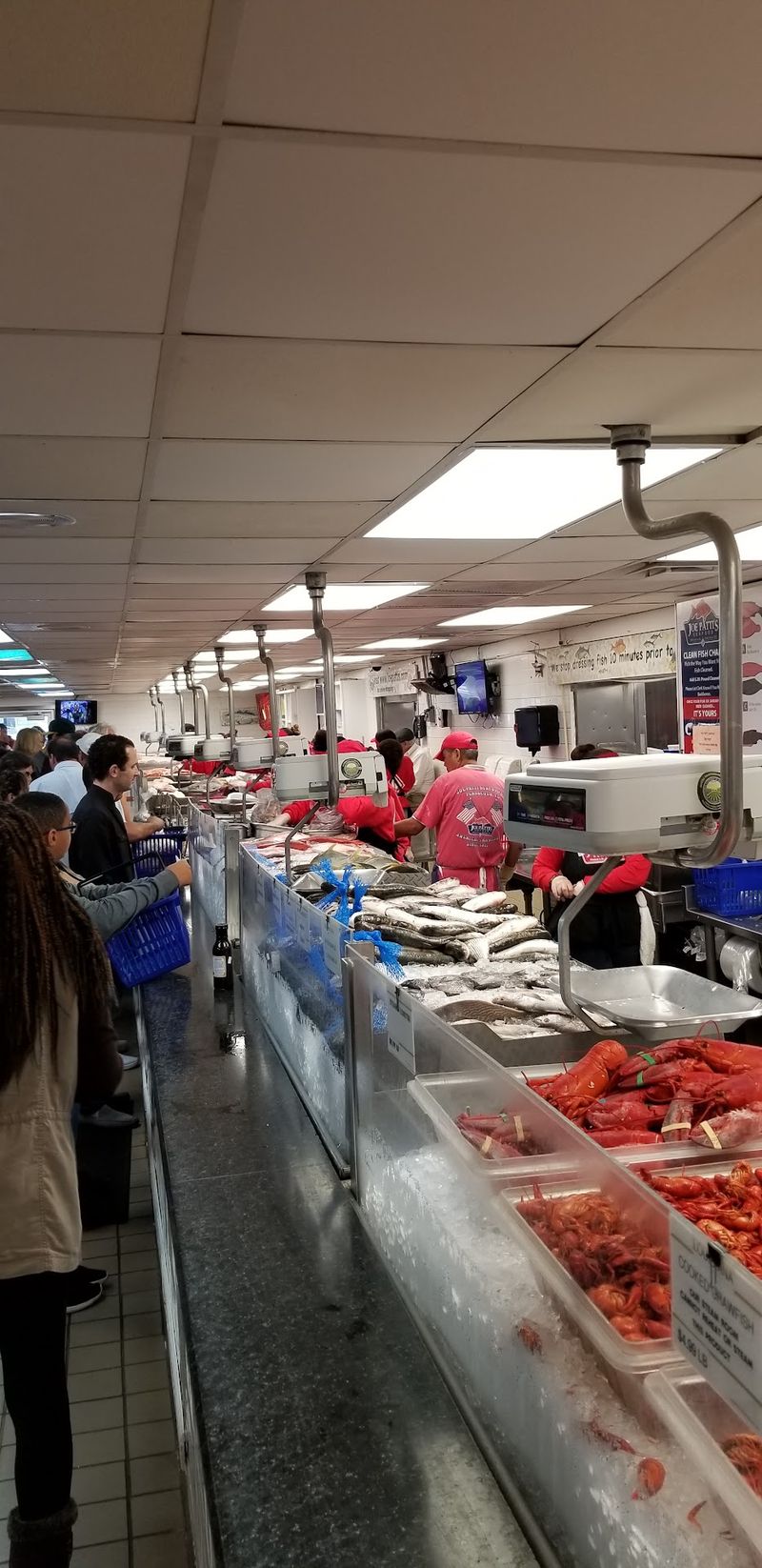 A Fish Case That Spans Oceans