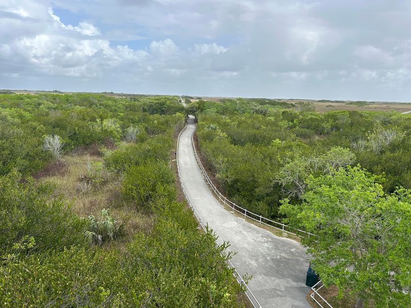 A Flat Fifteen Miles Through Sawgrass Country