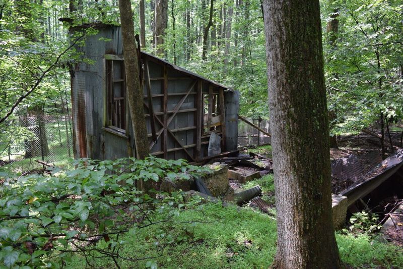 A Forgotten Mine Hiding Near Potomac
