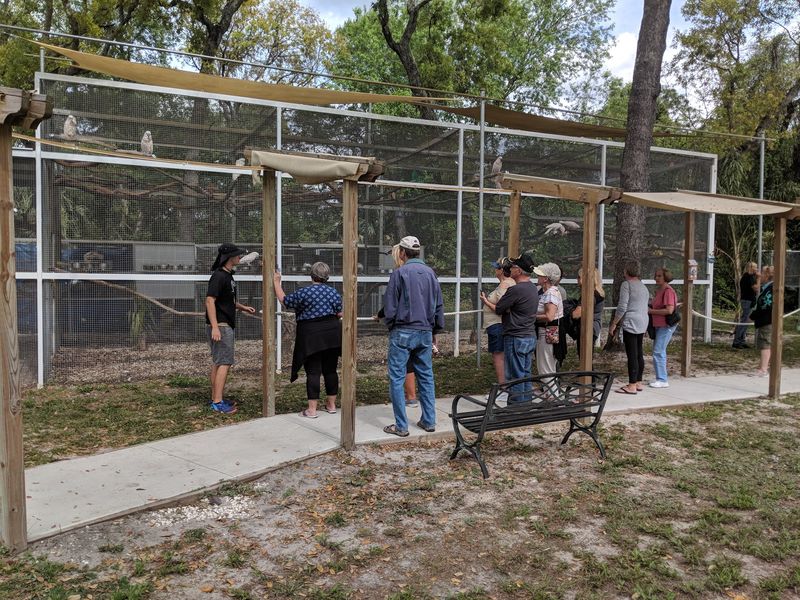 A Great Outing for Families and First Dates A Great Outing for Families and First Dates