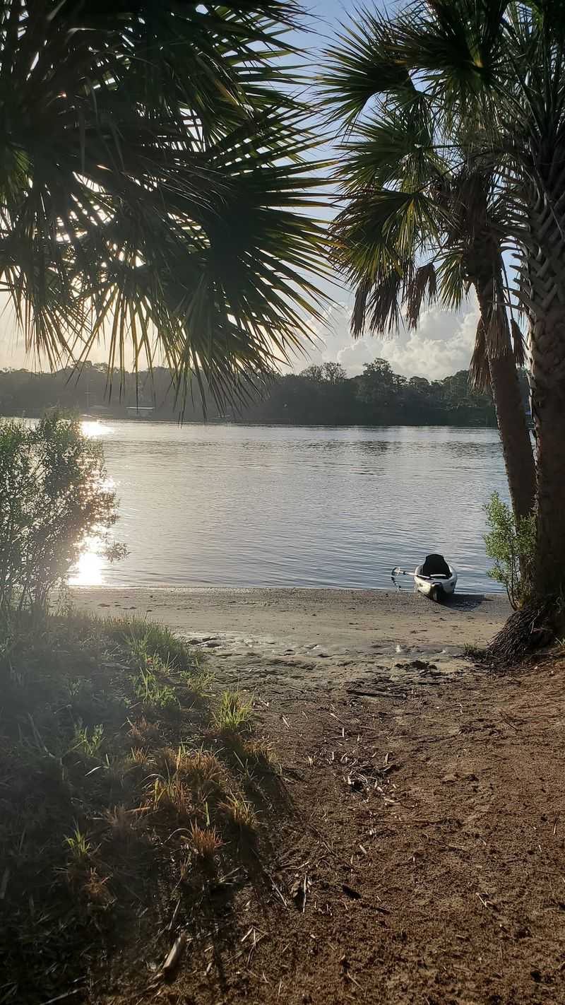 A Kayak Trip From Arlington Marina