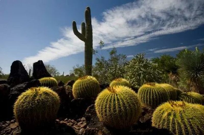 A Living Museum Built From 50,000 Plants