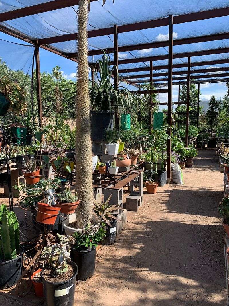 A Local Small Business With Deep Roots A Local Small Business With Deep Roots