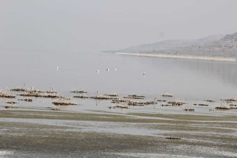 A Paradise For Bird Lovers