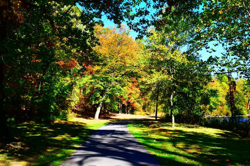 A Paved Path Makes the Falls More Reachable A Paved Path Makes the Falls More Reachable