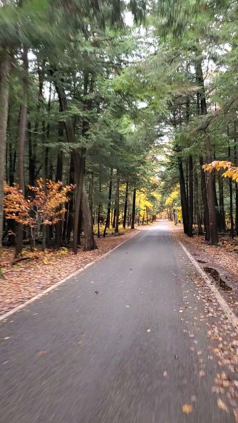 A Peaceful Escape for the Soul