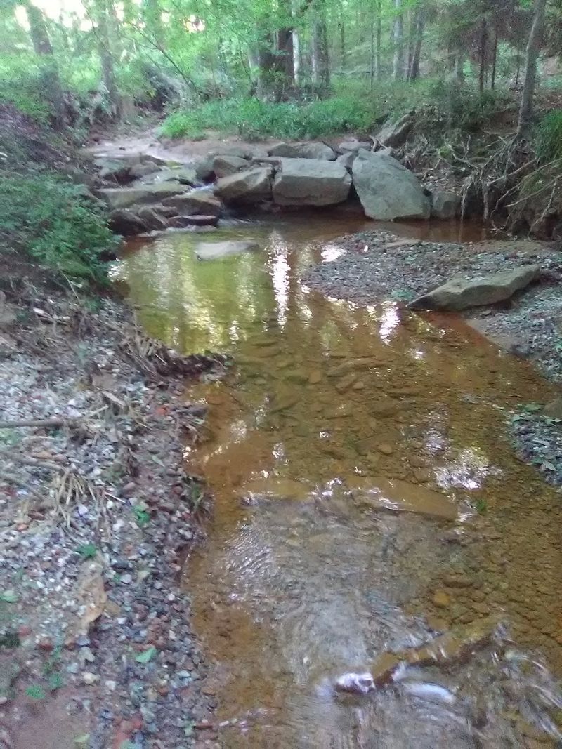 A Quiet History Built by Settlers and Pines