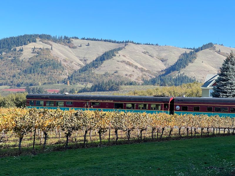 A Railway With Deep Roots