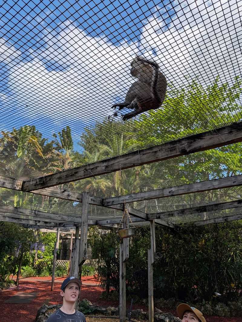 A Rainforest Hideaway in South Miami