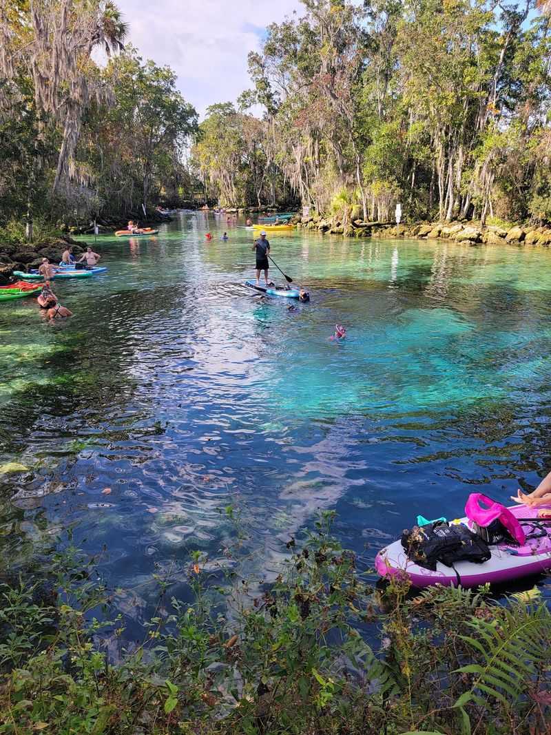 A Refuge Hidden Along Crystal River's Spring Trail