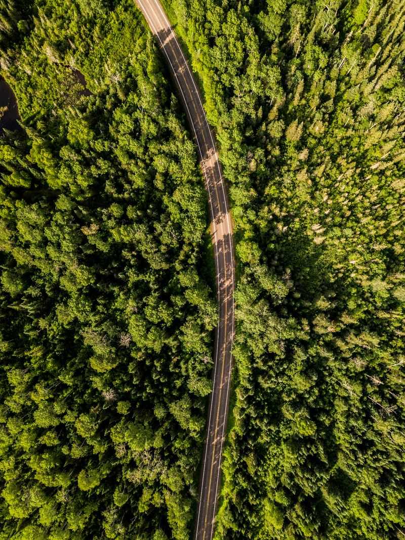 A Ribbon Through Superior National Forest