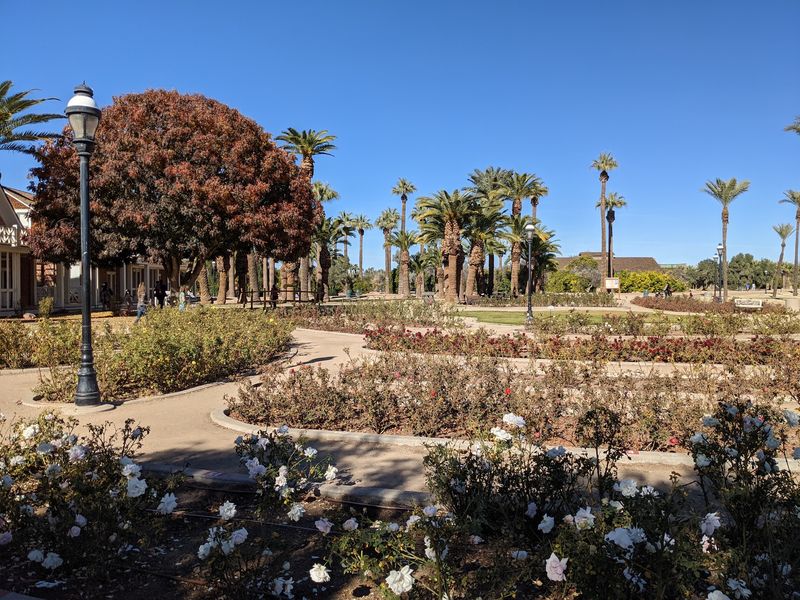A Rose Garden Worth The Detour A Rose Garden Worth The Detour