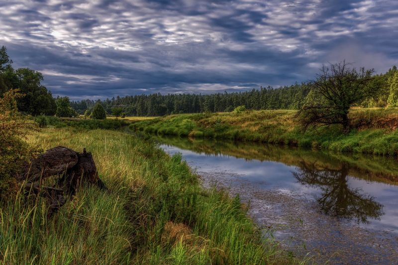 A Safer, Quieter Setting Eases Stress A Safer, Quieter Setting Eases Stress