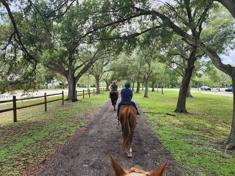 A Scenic Trail Hidden in the City A Scenic Trail Hidden in the City