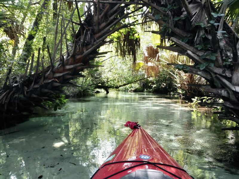 A Seven Mile Kayak Run Through the Jungle A Seven Mile Kayak Run Through the Jungle