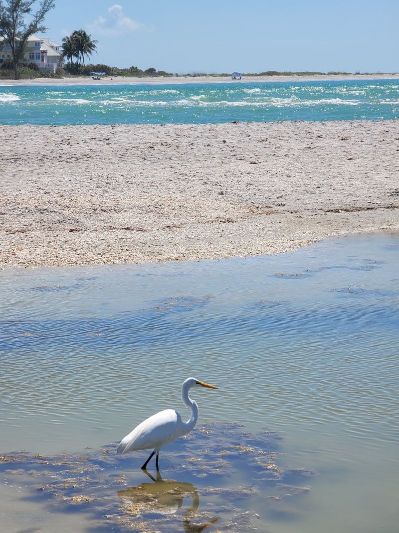 A Shallow Sandbar Made for Little Ones A Shallow Sandbar Made for Little Ones