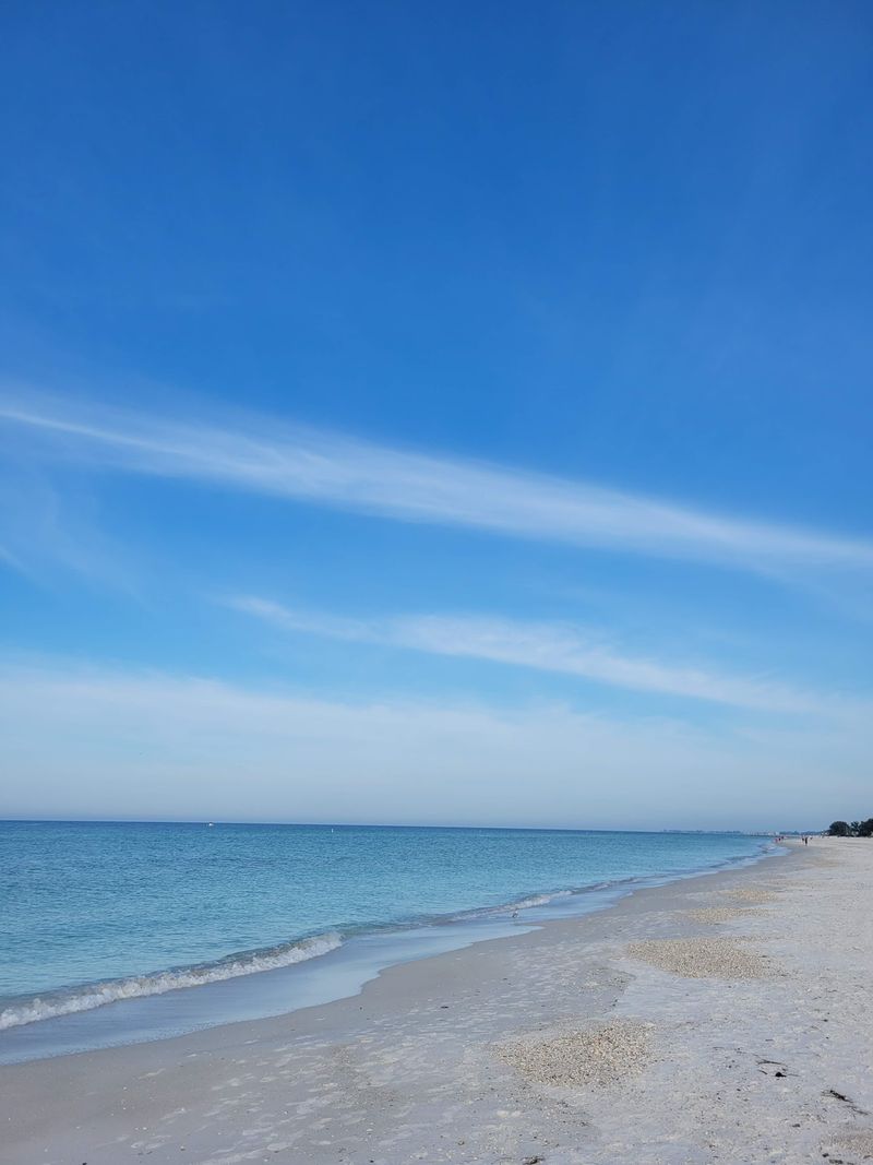 A Shell Collector's Quiet Jackpot