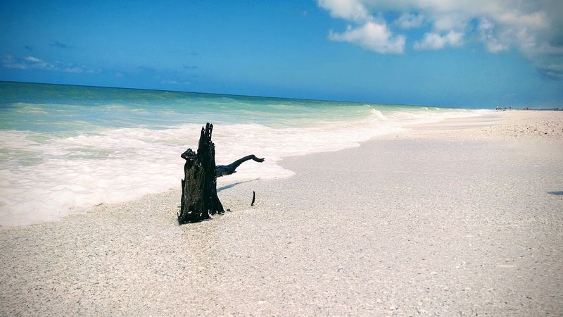 A Shell Hunter's Quiet Paradise