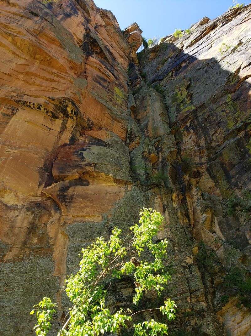 A Steep Descent Into The Gorge A Steep Descent Into The Gorge