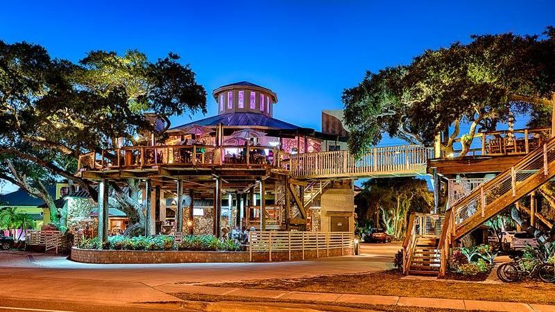 A Table Among the Branches in New Smyrna Beach