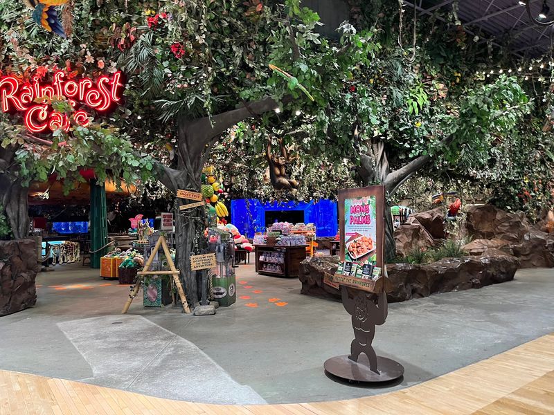 A Thriving Mall In An Age Of Empty Storefronts